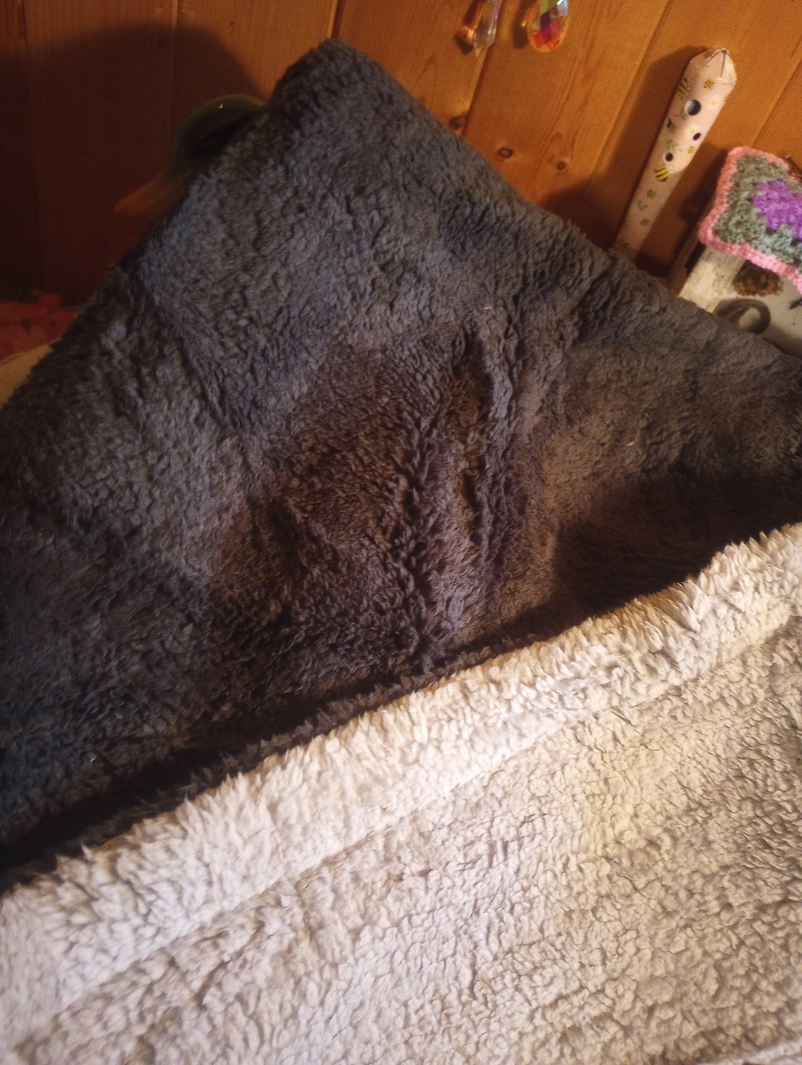 Premium Mystery Blanket Add On!