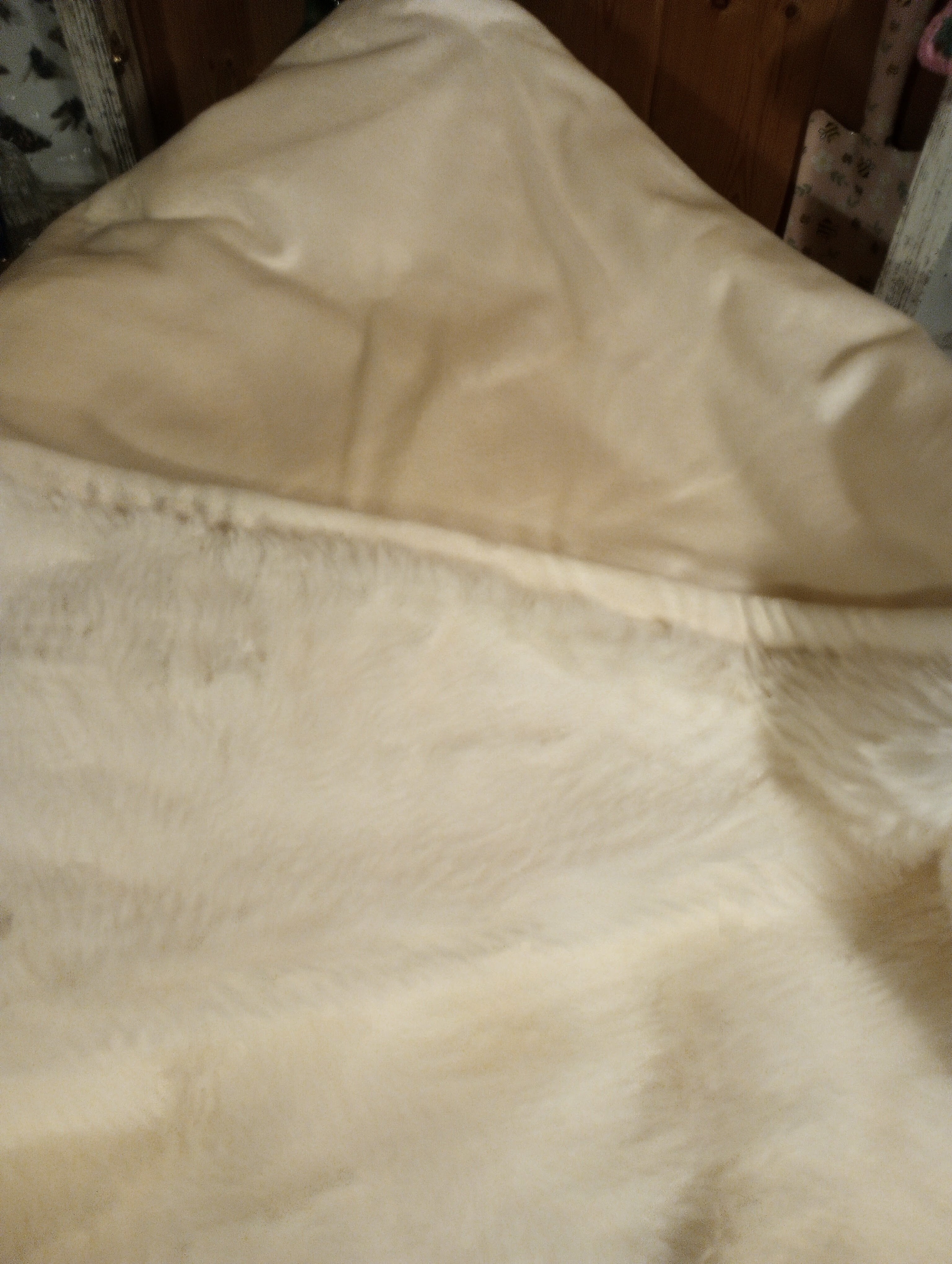 Premium Mystery Blanket Add On!
